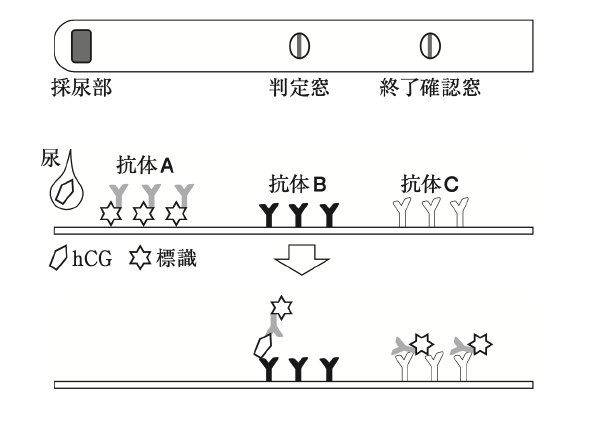 解説画像